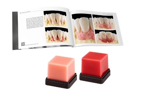 GEO Expert Gingiva Set A.Bruguera