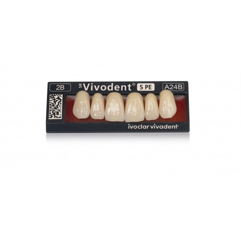 SR Vivodent S PE Set of 6