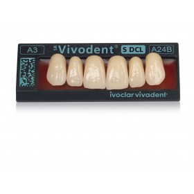 SR Vivodent S DCL Set of 6